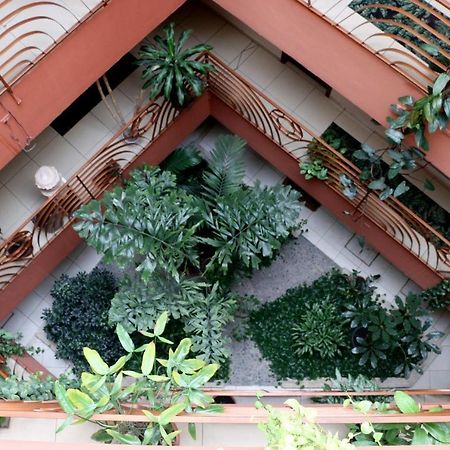 Hotel Martell San Pedro Sula Kültér fotó
